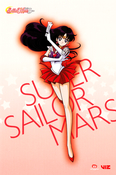 sailor-moon-sailor-stars-viz-promo-03.jpg