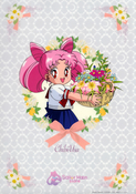 sailor-moon-store-flowers-clearfile-02.jpg