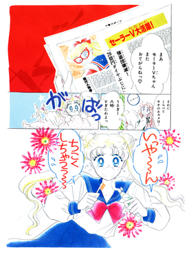 Pretty Soldier Sailor Moon
The Original Picture Collection
Naoko Takeuchi
Limited Replica Collection
Set 115/500
