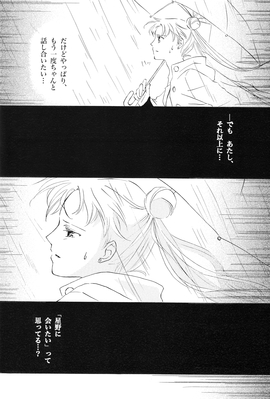 Tsukino Usagi
By Mayu
Published: November 2008
