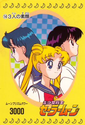 Usagi, Ami, Rei
No. 14
