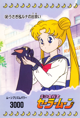 Usagi & Luna
No. 32
