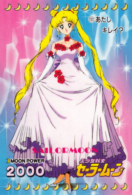 Tsukino Usagi
No. 111
