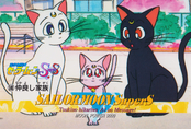 sailor-moon-supers-pp12-40.jpg