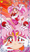 _POSTER__Tsukino_Chibi-Usa_Sailor_Chibi_Moon_Character_Sheet.jpeg