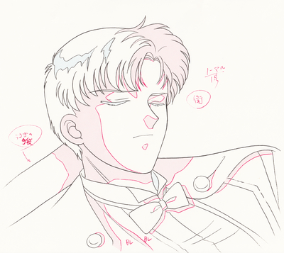 Tuxedo Kamen, Chiba Mamoru
Sailor Moon
Douga Book
By MOVIC
