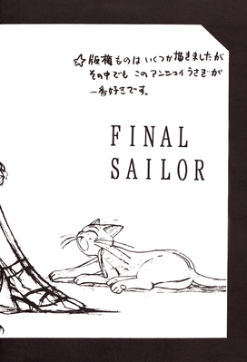 Tsukino Usagi, Luna
"Final Sailor"
By Tadano Kazuko
