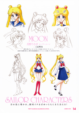 Sailor Moon
ISBN: 978-4-8002-2666-2
Published July 2014
