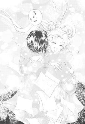 Mamoru, Usagi
By Ohmori Madoka
November 1998
