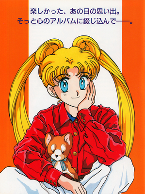 Tsukino Usagi
By Tohru Mizushima
September 19, 1993
